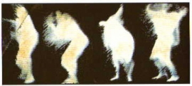 Herbert Dring-Spengler - Tanz, 1997, Original Polaroid 50 x 60 cm