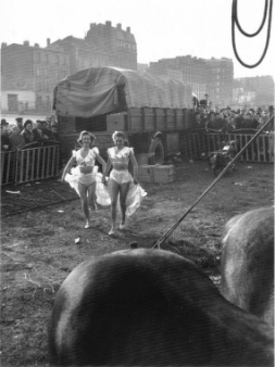 Willy Ronis - Le Zoo, Circus Achille